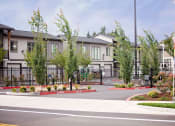 Thumbnail 45 of 47 - a street with a row of houses on the other side of a fence