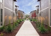 Thumbnail 43 of 47 - a pathway lined with plants in front of a row of buildings