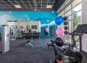 Thumbnail 20 of 23 - the gym has a variety of exercise equipment and a blue wall with balloons