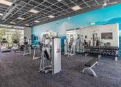 Thumbnail 18 of 23 - a gym with weights and cardio equipment and a wall with a mural of a mountain