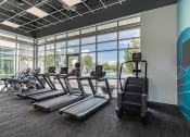 Thumbnail 17 of 23 - a gym with rows of cardio equipment and a wall of windows