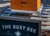 Thumbnail 37 of 47 - the busy bee company sign in front of a beehive