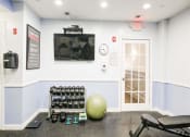 Thumbnail 13 of 28 - a gym with a television and weights on the floor