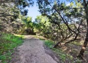 Thumbnail 23 of 41 - Walking Trail at Barton Creek Villas, Austin