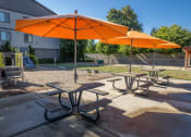 Thumbnail 38 of 47 - two orange umbrellas and picnic tables in a park