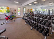 Thumbnail 27 of 47 - the gym at the preserve at polo towers has weights and other exercise equipment