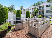 Thumbnail 10 of 22 - a community garden with raised beds and a white fence at Sage Apartments, Everett, 98204