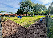 Thumbnail 4 of 27 - A park with a blue exercise ball in the middle of a grassy area.