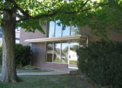 Thumbnail 11 of 11 - a large window in a brick building with a large tree in front of it