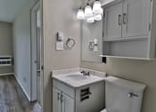 Thumbnail 13 of 21 - a bathroom with a sink and a mirror and a toilet