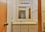 Thumbnail 15 of 33 - a bathroom  vanity with a sink and a mirror