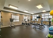 Thumbnail 24 of 75 - a large fitness room with exercise equipment and windows