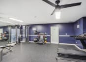 Thumbnail 2 of 44 - a gym with weights and a ceiling fan