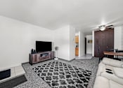Thumbnail 44 of 52 - A living room with a television and a rug.