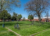 Thumbnail 6 of 27 - A park with a bicycle and a fence.