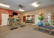 Thumbnail 8 of 48 - A gym with treadmills, weights, and exercise equipment.