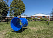 Thumbnail 5 of 27 - A blue slide in a playground with a building in the background.