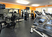 Thumbnail 15 of 44 - A gym with a variety of equipment including treadmills, weights, and exercise machines.