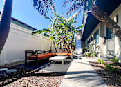 Thumbnail 23 of 23 - a courtyard with benches and palm trees in front of a building