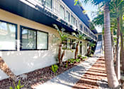 Thumbnail 22 of 23 - the exterior of a building with palm trees and a sidewalk