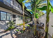 Thumbnail 2 of 23 - A patio area with a table and chairs surrounded by banana trees.