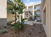 Thumbnail 13 of 38 - Courtyard with landscaping and residential balconies at Altitude Apartments, Moreno Valley, California