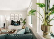 Thumbnail 8 of 17 - A living room with a grey couch and a plant on the side table.