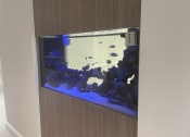 Thumbnail 3 of 11 - Fish Tank at Hampton Apartments in Clearwater, FL 33759