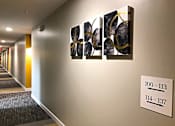 Thumbnail 7 of 46 - Decor at 1400 Russell Apartments, Missouri