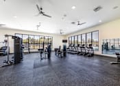 Thumbnail 56 of 57 - A spacious gym with various exercise equipment and a large window.