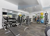 Thumbnail 18 of 25 - Fitness Center View 2