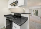 Thumbnail 14 of 18 - Kitchen & Living Area