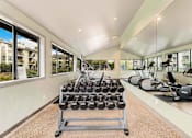 Thumbnail 18 of 27 - A gym with a variety of equipment including treadmills, stationary bikes, and dumbbells.