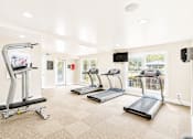 Thumbnail 6 of 40 - Sandy Springs, GA, Apartments Near Perimeter Center - Veridian at Sandy Springs - Fitness Center With Three Treadmills, Weight Machine, and Large Windows Providing Natural Light.