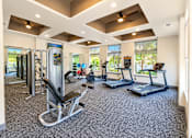 Thumbnail 5 of 30 - A gym with a variety of equipment including treadmills, a rowing machine, and a weight machine.
