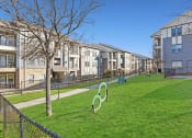 Thumbnail 12 of 27 - the preserve at ballantyne commons yard with grass and apartment buildings