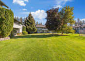 Thumbnail 5 of 7 - a large yard with houses in the background and trees
