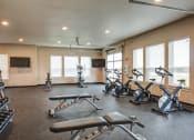 Thumbnail 5 of 19 - the gym has plenty of exercise equipment and windows