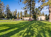 Thumbnail 5 of 5 - A sunny day in a park with trees and a building in the background.