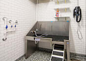 Thumbnail 26 of 48 - pet spa