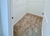 Thumbnail 42 of 61 - A white closet with a carpeted floor and a light on the ceiling.