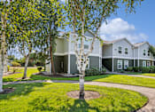Thumbnail 72 of 74 - A tree in front of a grey house.