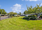 Thumbnail 74 of 74 - A sunny day at a park with a grassy area and trees.