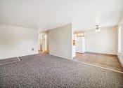 Thumbnail 18 of 35 - A spacious room with a grey carpet and white walls.