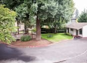 Thumbnail 33 of 40 - A tree in a yard with a house in the background.