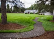 Thumbnail 47 of 64 - A pathway leads through a grassy area with a tree on the left.