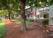 Thumbnail 44 of 44 - an apartment building with trees and grass in front of it