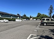 Thumbnail 30 of 31 - Mt. Pleasant Apartments Parking Lot