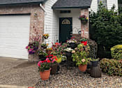 Thumbnail 18 of 18 - A white house with a green door and windows surrounded by plants.