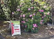 Thumbnail 16 of 17 - Ashley Court Apartments Portland, Oregon Sign Board